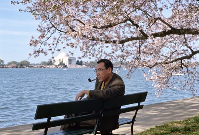 A quiet moment by the water