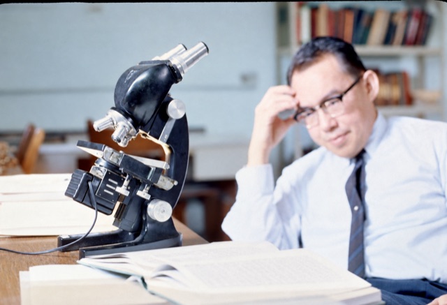 Working with a microscope