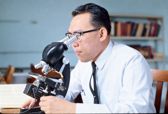 Working with a microscope